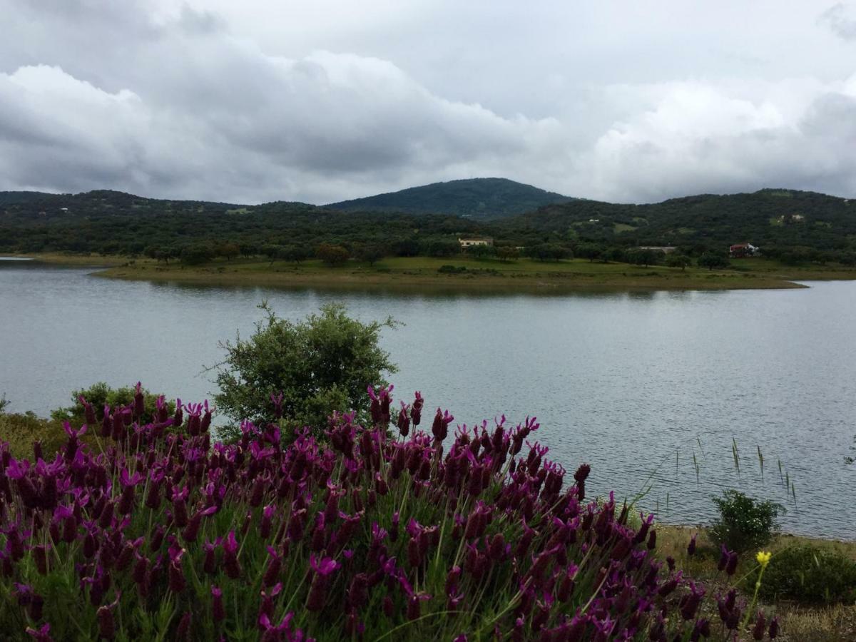 Casa Rural Alcornocalejo Monesterio Eksteriør bilde